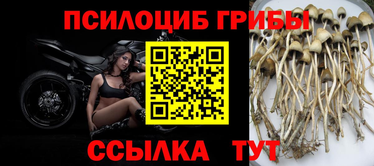 Псилоцибиновые грибы прущие грибы  закладка  Вход с VPN  Анапа  Псилоцибиновые грибы ЛСД 